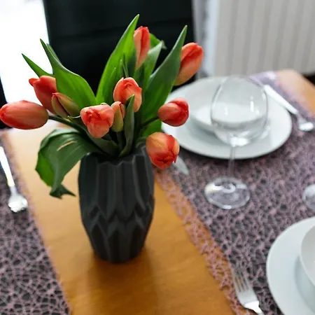 Rent Like - Orkana Ii Apartment *